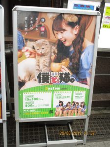Sign advertising a cat cafe with a girl feeding a cat